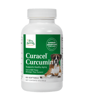 Curacel Curcumin Bottle Image