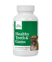 Healthy Teeth and Gums Pill Bottle  by Terry Naturally Animal Health