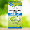 Andrographis EP80™ Immune with Terry