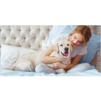 Puppy Training Tips on Train Your Dog Month