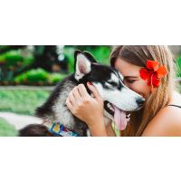 2 Crucial Benefits Curcumin Has for Dogs