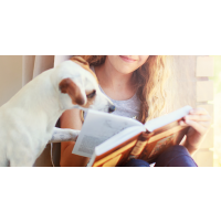 The Dog Lover’s Bookshelf
