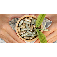 Hands holding bowl of supplements